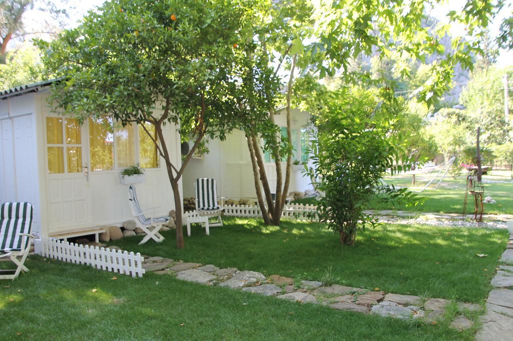 Defne Pension Çıralı Zimmer foto